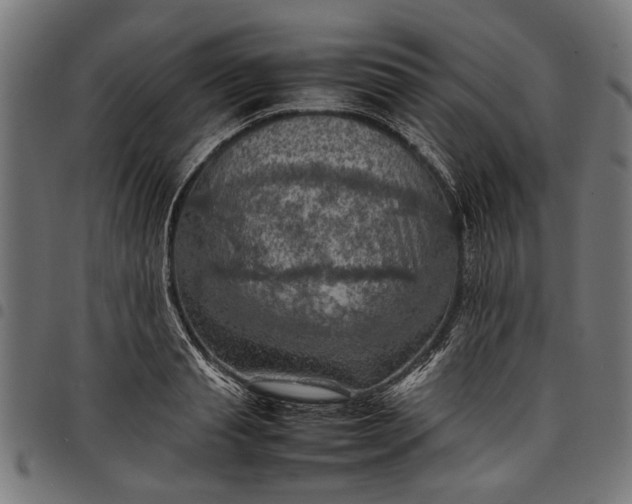 X0000097880845200803281222