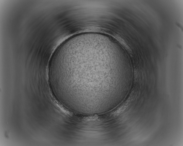 X0000097880846200803281222