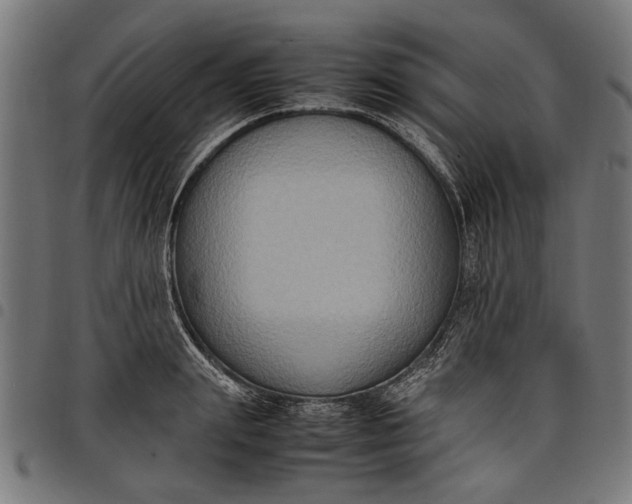 X0000097880847200803281222