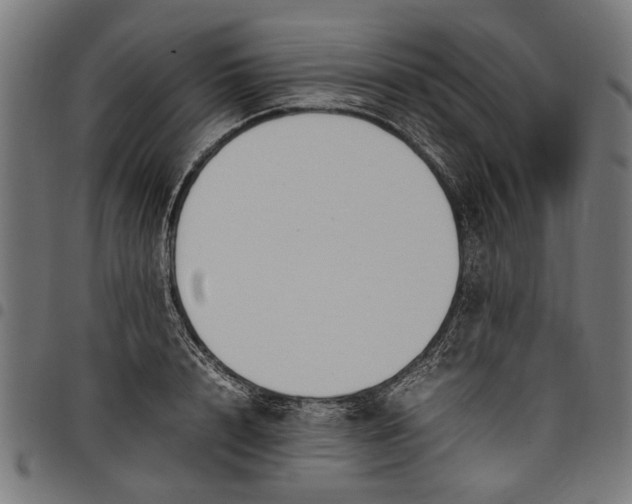 X0000097880848200803281222