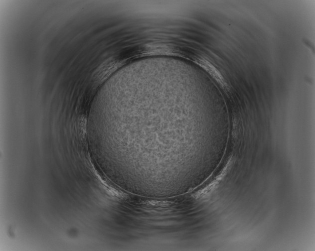 X0000097880849200803281222