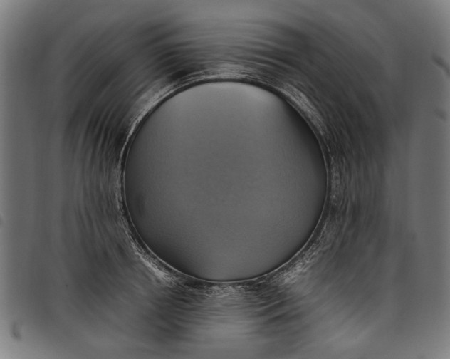 X0000097880850200803281222