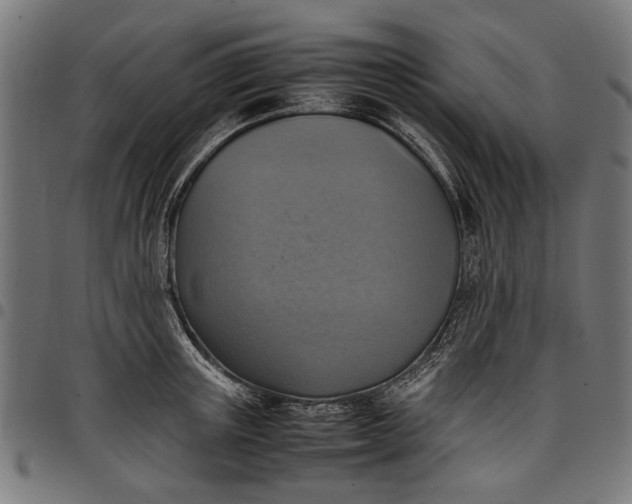 X0000097880851200803281222