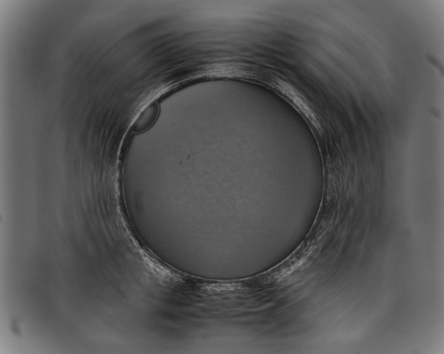 X0000097880853200803281222