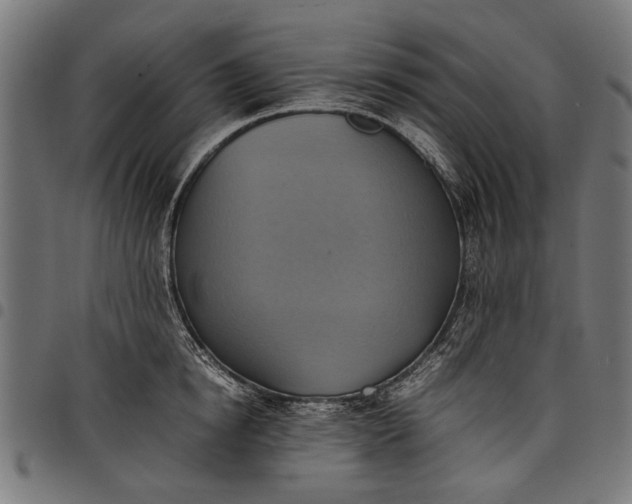 X0000097880854200803281222