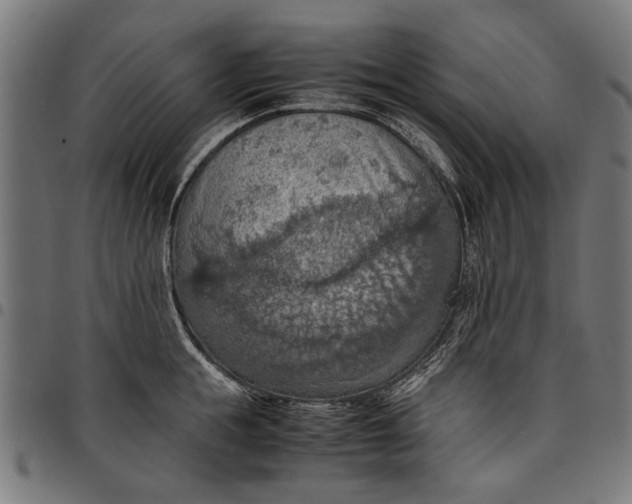 X0000097880855200803281222