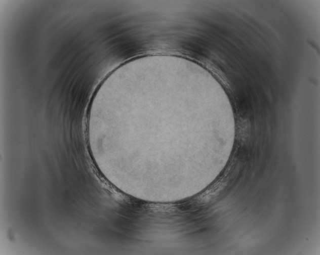 X0000097880856200803281222