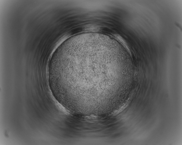 X0000097880859200803281222