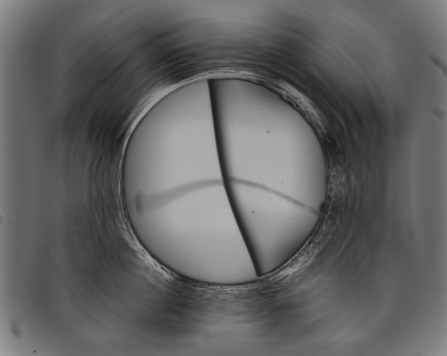 X0000097880860200803281222