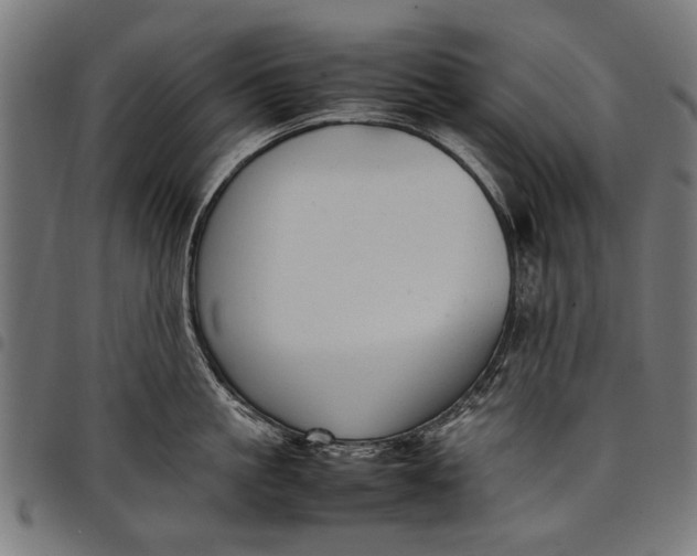 X0000097880861200803281222