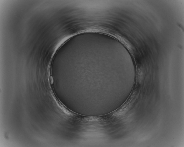 X0000097880862200803281222