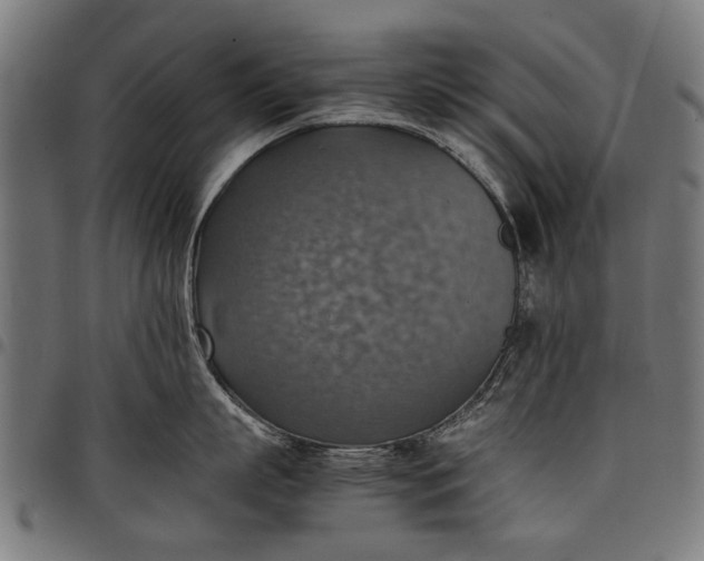 X0000097880863200803281222