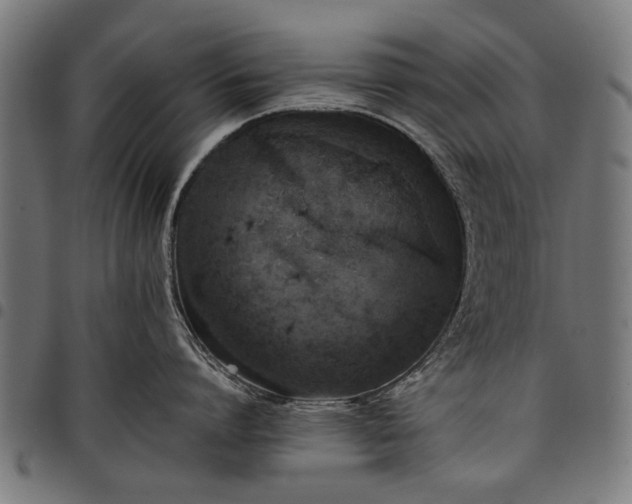 X0000097880864200803281222