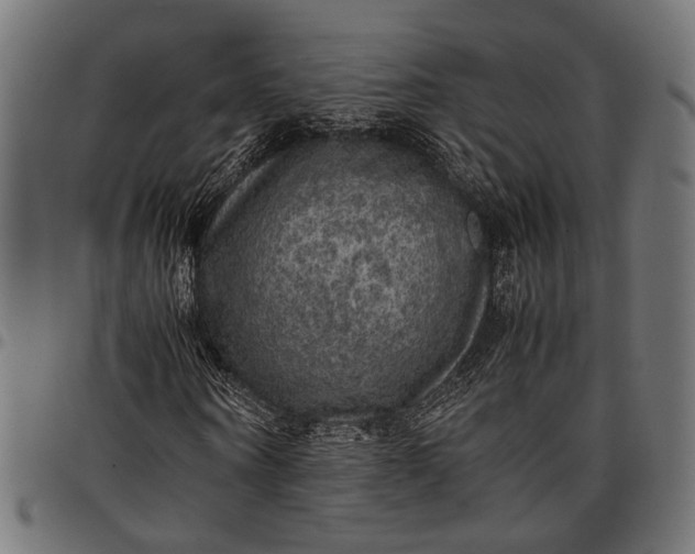 X0000097880866200803281221