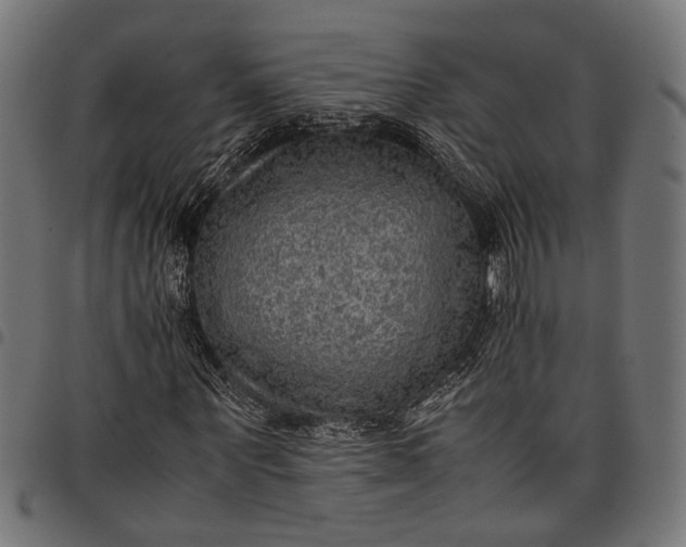 X0000097880867200803281221