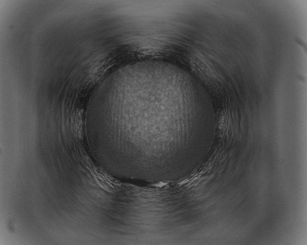 X0000097880868200803281221