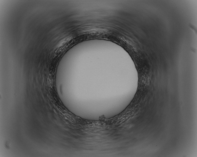 X0000097880869200803281221