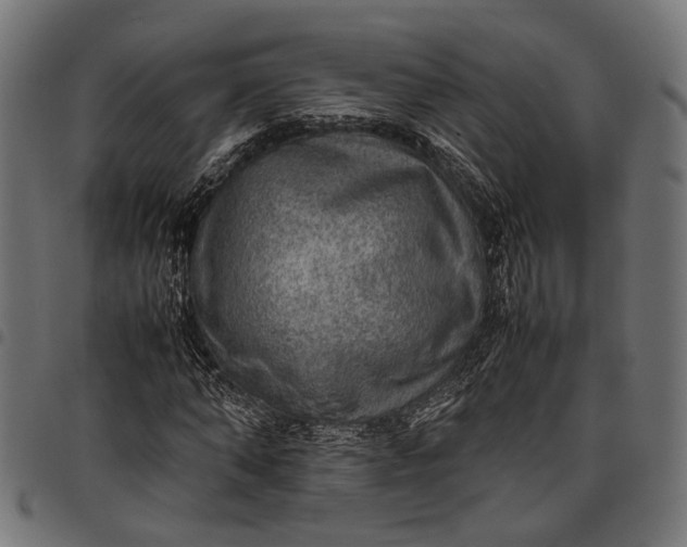 X0000097880870200803281221