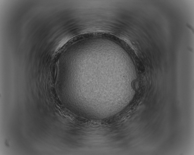 X0000097880871200803281221