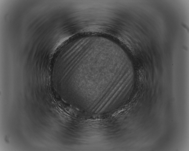 X0000097880872200803281221