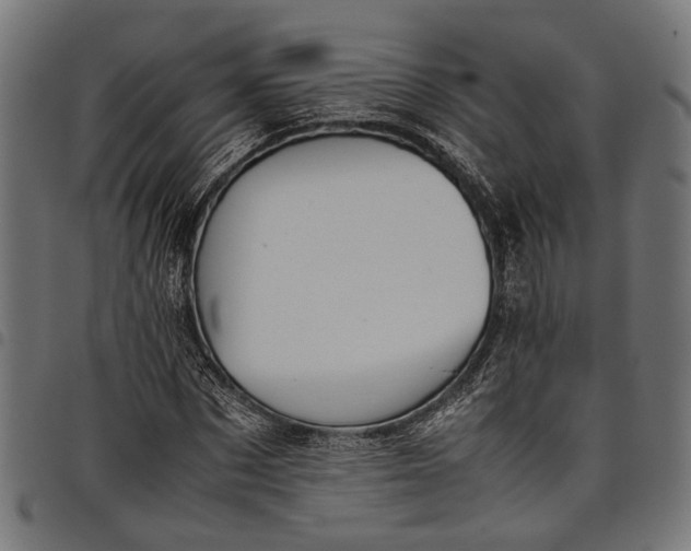 X0000097880873200803281221