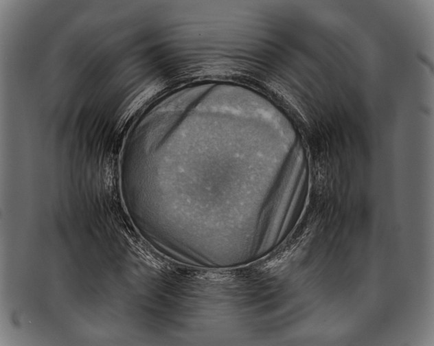 X0000097880874200803281221