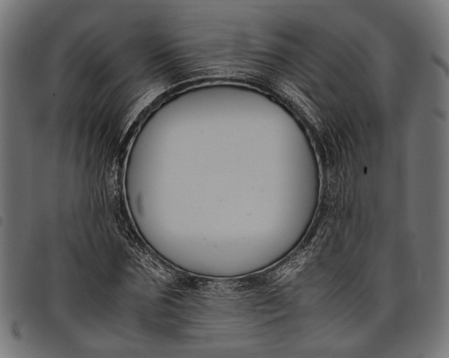 X0000097880875200803281221