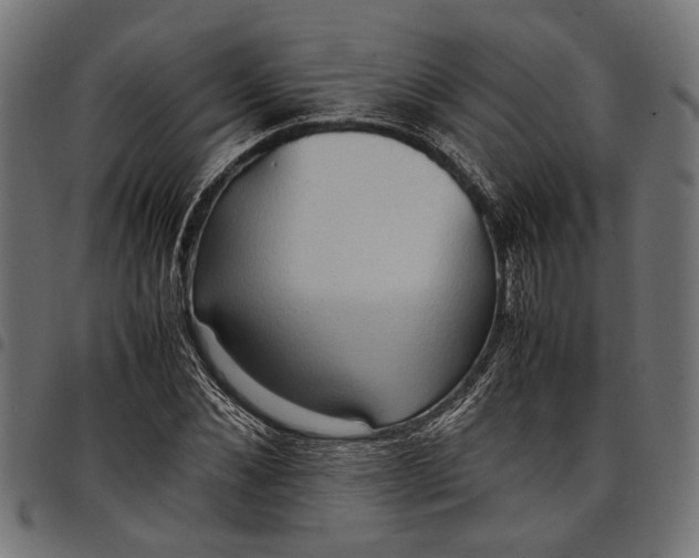 X0000097880876200803281221