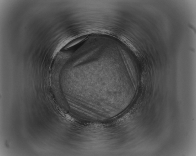 X0000097880877200803281221