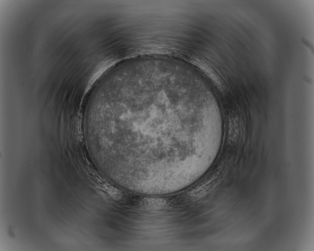 X0000097880878200803281221