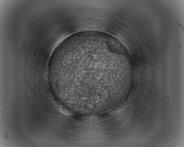 X0000097880879200803281221