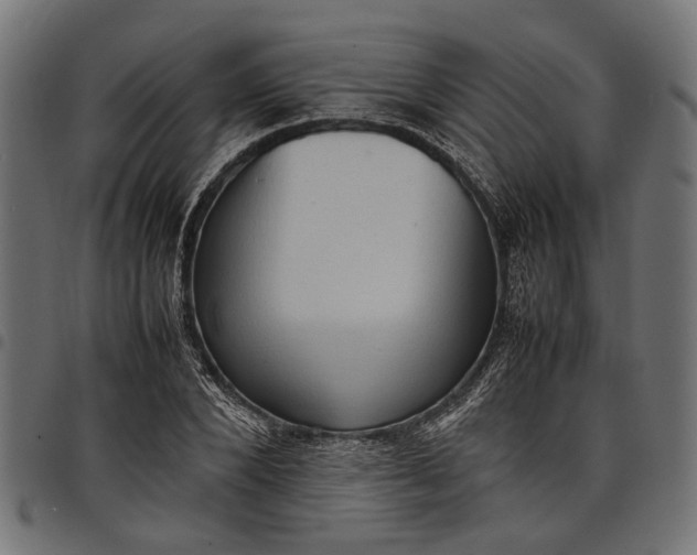 X0000097880880200803281221