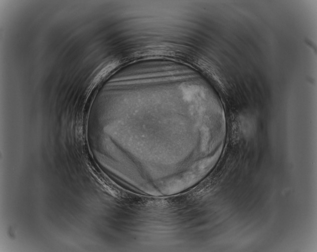 X0000097880882200803281221