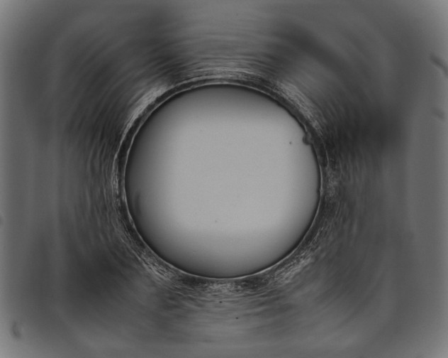 X0000097880883200803281221