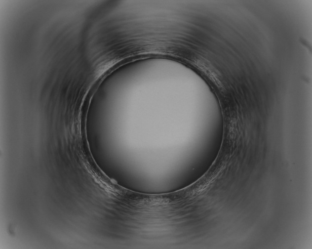 X0000097880884200803281221