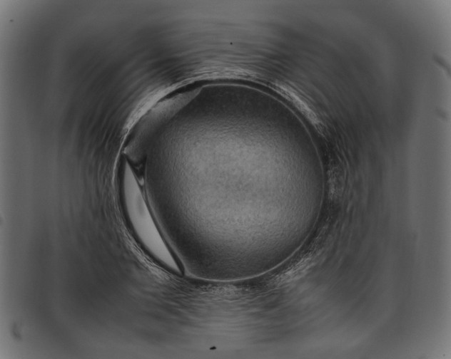 X0000097880885200803281221