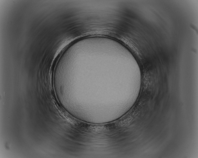 X0000097880886200803281221