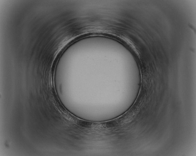 X0000097880887200803281221