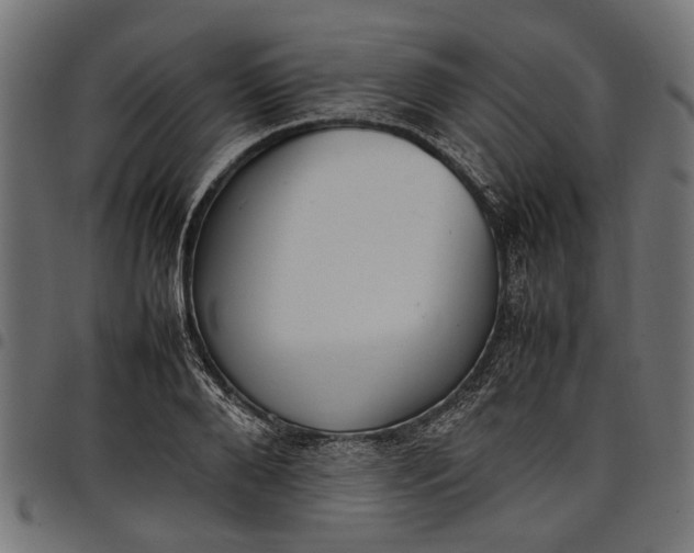 X0000097880888200803281221