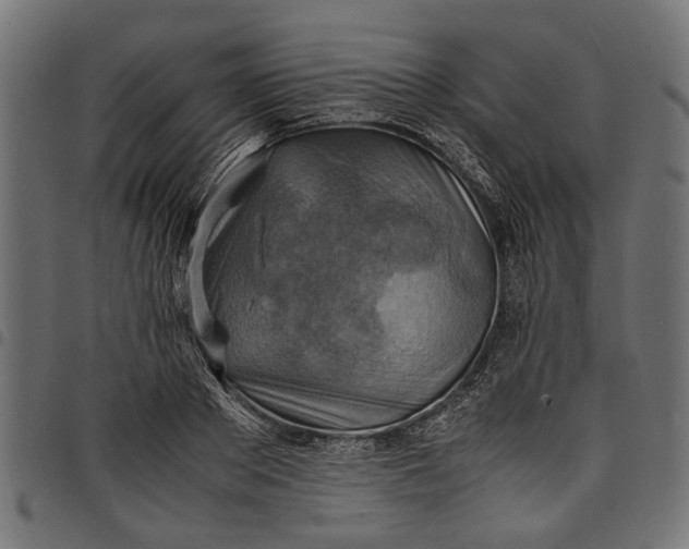 X0000097880889200803281221