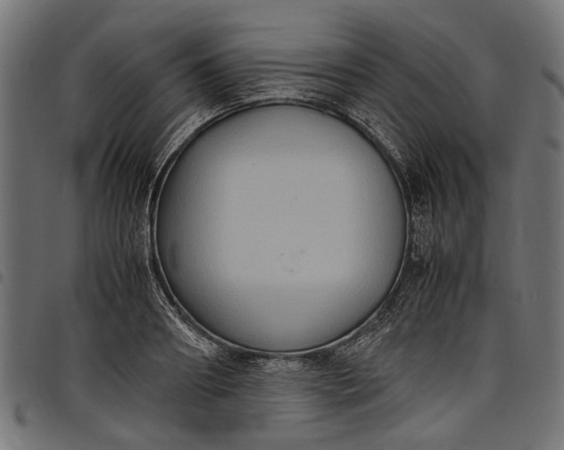 X0000097880890200803281221