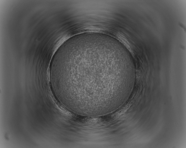 X0000097880891200803281221