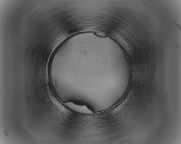 X0000097880892200803281221