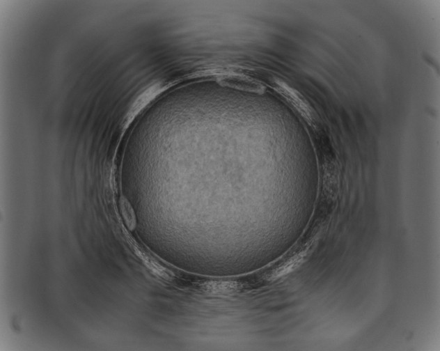 X0000097880893200803281221