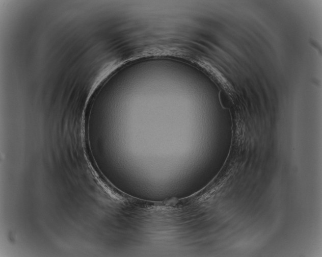 X0000097880894200803281221