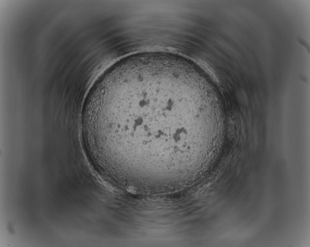 X0000097880895200803281221