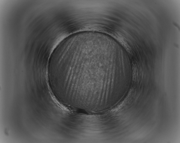 X0000097880896200803281221