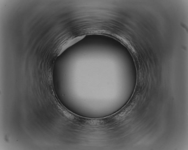 X0000097880897200803281221