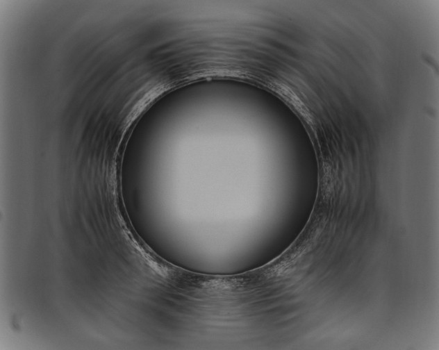 X0000097880898200803281221