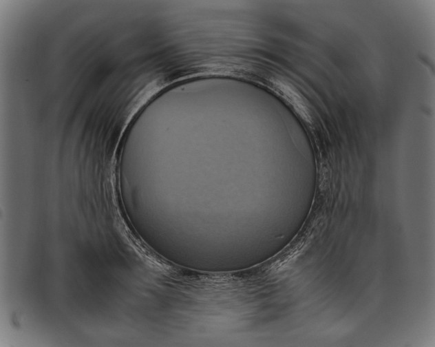 X0000097880899200803281221